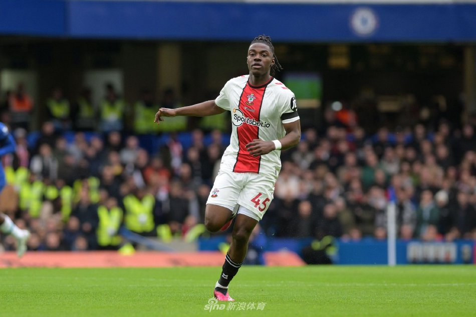 德的嗅觉 德的嗅觉